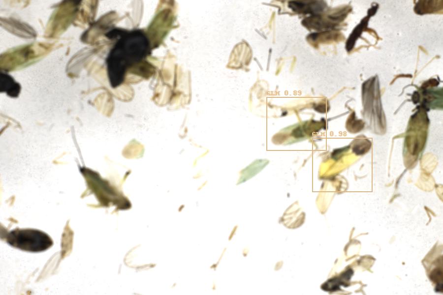 Image 151
